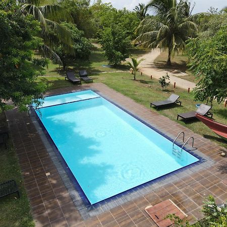 Yala Peace Cottages تيساماهاراما المظهر الخارجي الصورة
